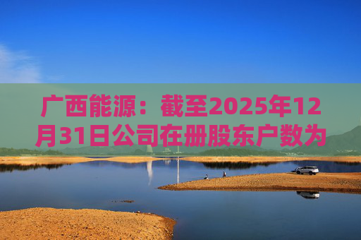 广西能源：截至2025年12月31日公司在册股东户数为53413户