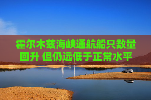 霍尔木兹海峡通航船只数量回升 但仍远低于正常水平