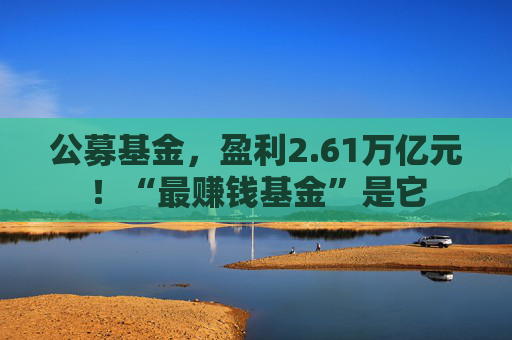 公募基金，盈利2.61万亿元！“最赚钱基金”是它