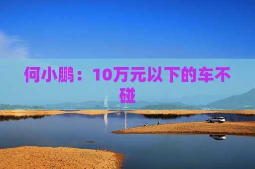 何小鹏：10万元以下的车不碰