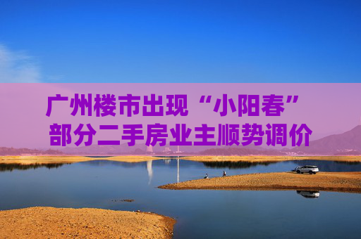 广州楼市出现“小阳春” 部分二手房业主顺势调价