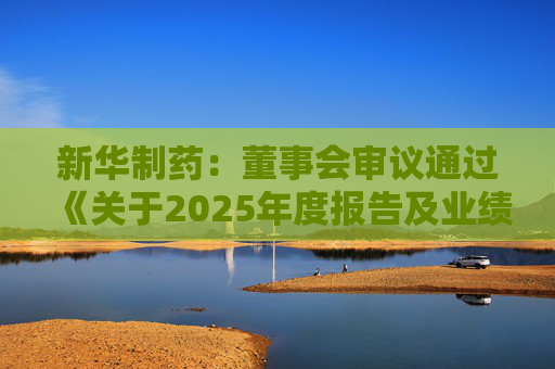 新华制药：董事会审议通过《关于2025年度报告及业绩公告的议案》等多项议案  第1张