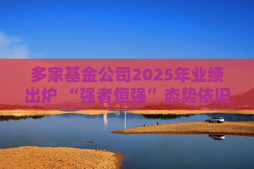 多家基金公司2025年业绩出炉 “强者恒强”态势依旧  第1张