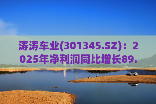 涛涛车业(301345.SZ)：2025年净利润同比增长89.29% 拟10派15元