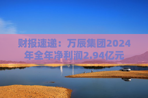 财报速递:万辰集团2024年全年净利润2.94亿元