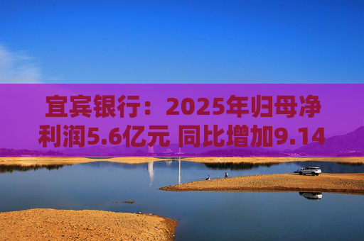 宜宾银行：2025年归母净利润5.6亿元 同比增加9.14%