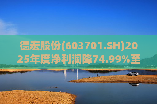 德宏股份(603701.SH)2025年度净利润降74.99%至1153.69万元