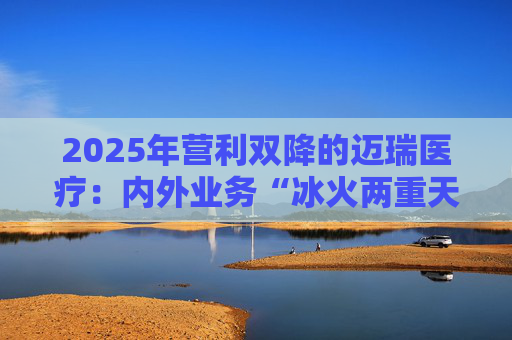 2025年营利双降的迈瑞医疗：内外业务“冰火两重天”
