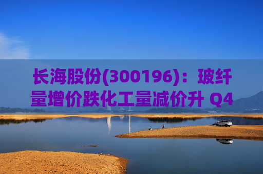 长海股份(300196)：玻纤量增价跌化工量减价升 Q4业绩同比显著修复