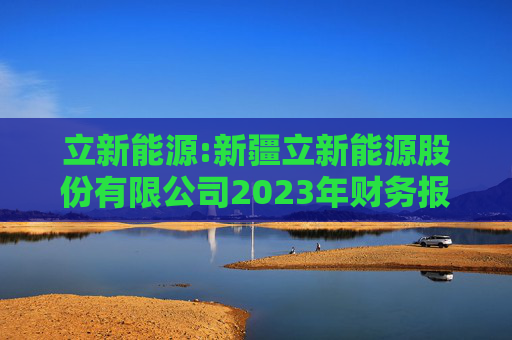 立新能源:新疆立新能源股份有限公司2023年财务报表审计报告书