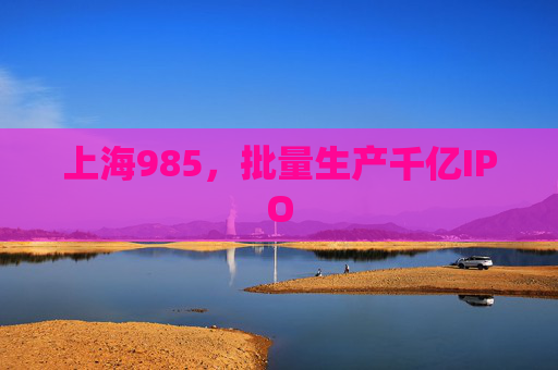 上海985，批量生产千亿IPO