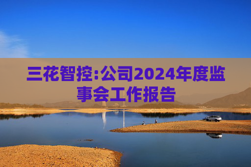 三花智控:公司2024年度监事会工作报告  第1张