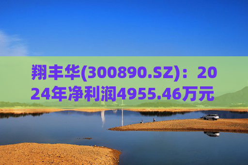 翔丰华(300890.SZ)：2024年净利润4955.46万元 同比下降40.23%