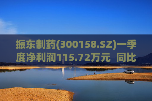 振东制药(300158.SZ)一季度净利润115.72万元  同比减少94.99% 第1张