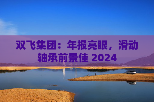 双飞集团：年报亮眼，滑动轴承前景佳 2024