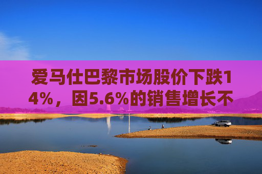 爱马仕巴黎市场股价下跌14%，因5.6%的销售增长不及预期