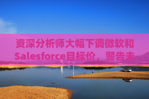 资深分析师大幅下调微软和Salesforce目标价，警告未来一年将"艰难"