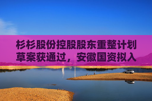 杉杉股份控股股东重整计划草案获通过，安徽国资拟入主