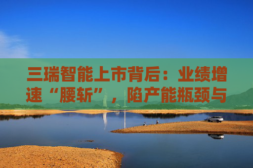 三瑞智能上市背后：业绩增速“腰斩”，陷产能瓶颈与贸易商依赖两大隐忧  第1张