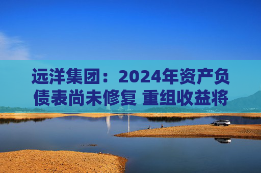 远洋集团:2024年资产负债表尚未修复 重组收益将于2025年释放