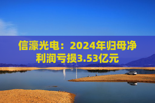 信濠光电：2024年归母净利润亏损3.53亿元  第1张