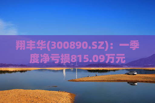 翔丰华(300890.SZ)：一季度净亏损815.09万元