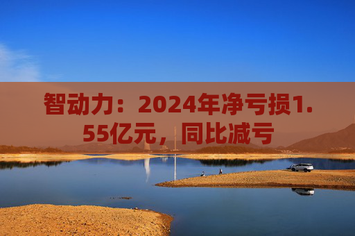 智动力：2024年净亏损1.55亿元，同比减亏  第1张