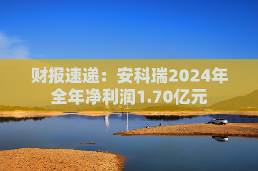 财报速递：安科瑞2024年全年净利润1.70亿元