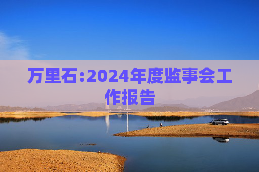 万里石:2024年度监事会工作报告