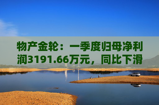 物产金轮：一季度归母净利润3191.66万元，同比下滑7.43%