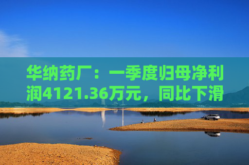 华纳药厂:一季度归母净利润4121.36万元,同比下滑31.37%