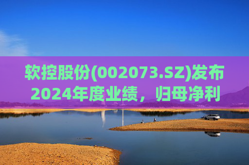 软控股份(002073.SZ)发布2024年度业绩，归母净利润5.06亿元，同比增长51.94%  第1张