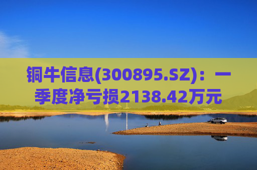 铜牛信息(300895.SZ):一季度净亏损2138.42万元