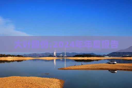 大叶股份:2024年年度报告  第1张