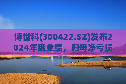 博世科(300422.SZ)发布2024年度业绩，归母净亏损8.65亿元，扩大300.66%