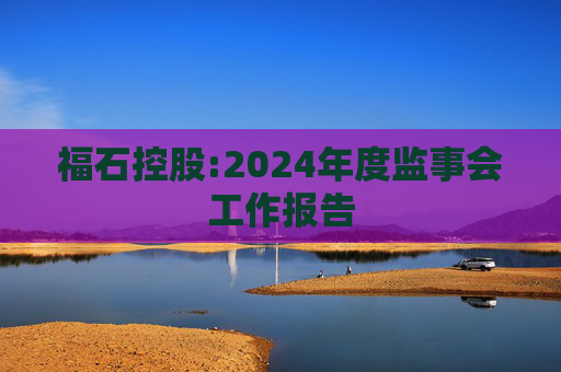 福石控股:2024年度监事会工作报告