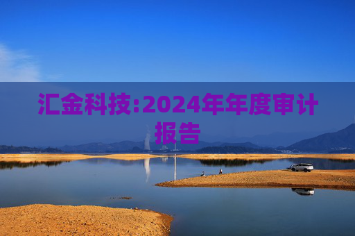 汇金科技:2024年年度审计报告