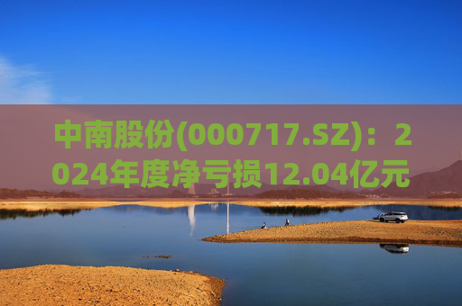 中南股份(000717.SZ)：2024年度净亏损12.04亿元