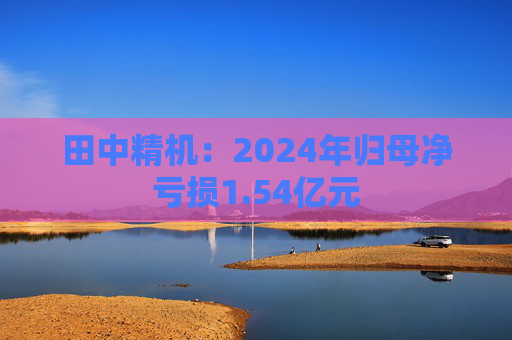 田中精机：2024年归母净亏损1.54亿元  第1张
