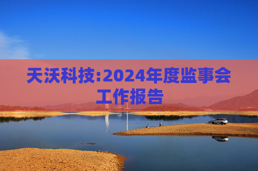 天沃科技:2024年度监事会工作报告  第1张