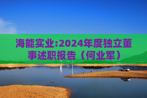 海能实业:2024年度独立董事述职报告(何业军)