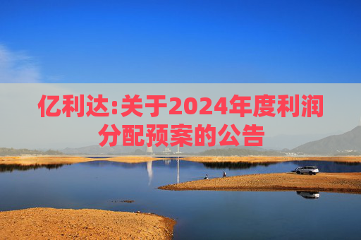 亿利达:关于2024年度利润分配预案的公告