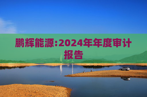 鹏辉能源:2024年年度审计报告