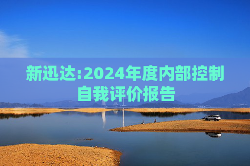 新迅达:2024年度内部控制自我评价报告  第1张