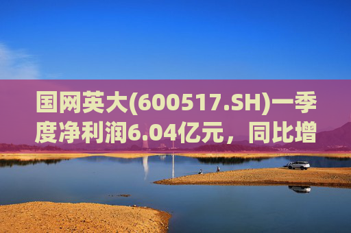 国网英大(600517.SH)一季度净利润6.04亿元，同比增长45.22%  第1张