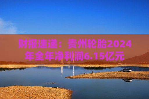 财报速递：贵州轮胎2024年全年净利润6.15亿元