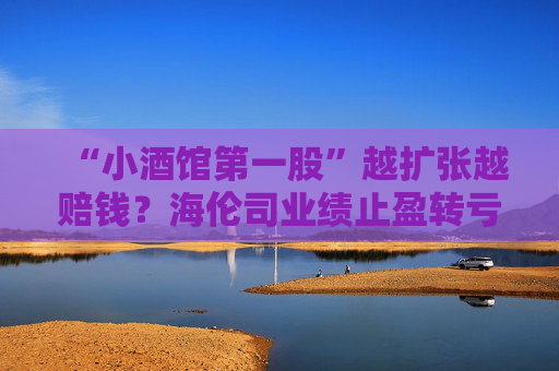 “小酒馆第一股”越扩张越赔钱？海伦司业绩止盈转亏