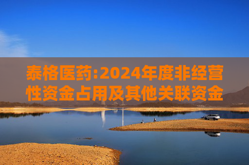 泰格医药:2024年度非经营性资金占用及其他关联资金往来情况的专项报告