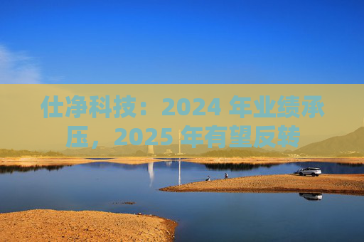 仕净科技:2024 年业绩承压,2025 年有望反转 第1张 仕净科技:2024 年业绩承压,2025 年有望反转 第1张