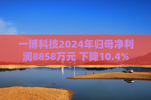 一博科技2024年归母净利润8858万元 下降10.4%